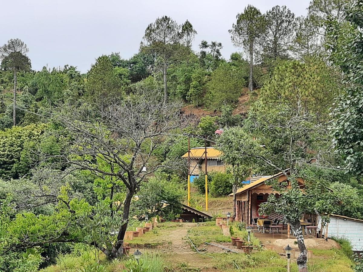 Mukteshwar Grand Retreat 穆克缇斯瓦 外观 照片